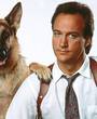 Ur. Jim Belushi