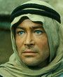 Ur. Peter O’Toole (1932-2013)